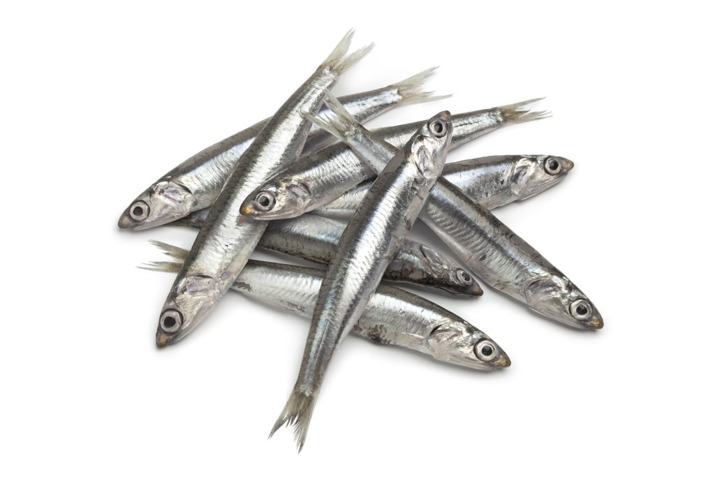 boquerón o anchoas