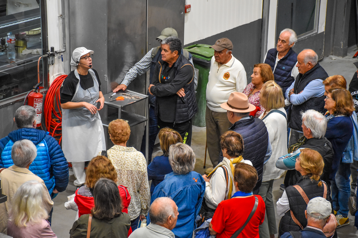 Visitar conservera en Santoña