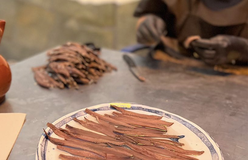 Elaboración artesanal de anchoas